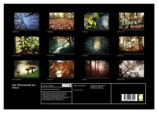 Produktbild: Der Reichswald bei Kleve (Wandkalender 2026 DIN A3 quer), CALVENDO Monatskalender