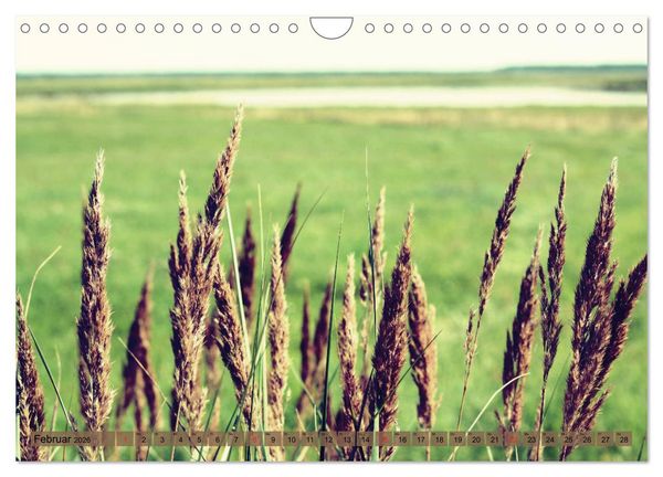 Produktbild: Focus Natur (Wandkalender 2026 DIN A4 quer), CALVENDO Monatskalender