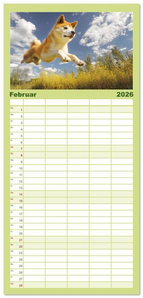 Produktbild: Familienplaner 2026 - Akita Inu in der Natur. Japans edle und sanfte Sch&ouml;nheit mit 5 Spalten (Wandkalender, 21 x 45 cm) CALVENDO