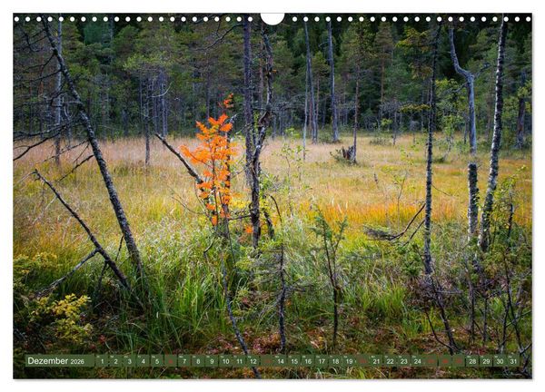 Produktbild: Wandern - In Norwegen und Schweden (Wandkalender 2026 DIN A3 quer), CALVENDO Monatskalender