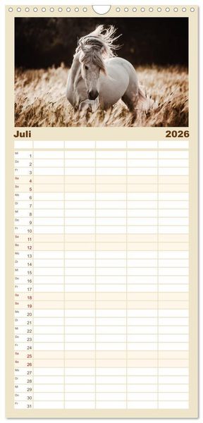 Produktbild: Familienplaner 2026 - Spiegel deiner Seele mit 5 Spalten (Wandkalender, 21 x 45 cm) CALVENDO