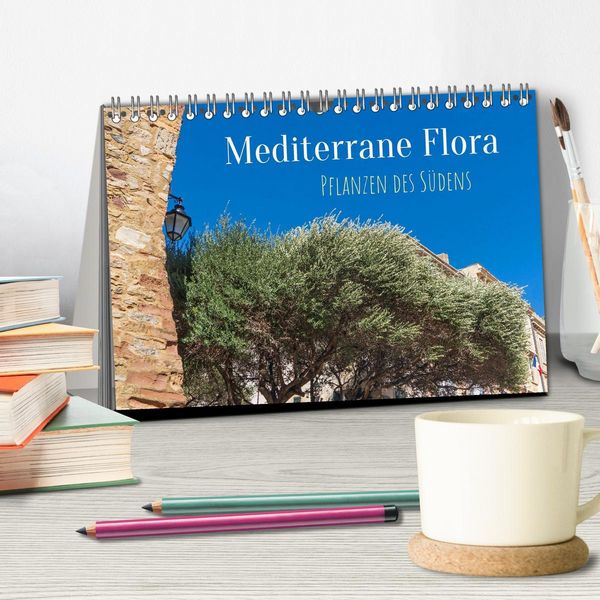 Produktbild: Mediterrane Flora - Pflanzen des S&uuml;dens (Tischkalender 2026 DIN A5 quer), CALVENDO Monatskalender