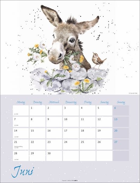 Produktbild: Country Life Kalender 2027