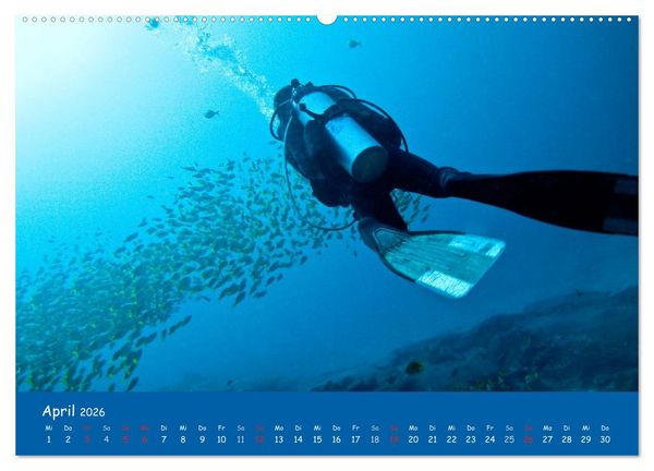 Produktbild: Unterwasserwelten (hochwertiger Premium Wandkalender 2026 DIN A2 quer), Kunstdruck in Hochglanz