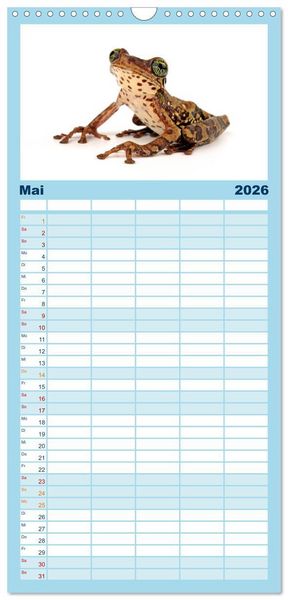 Produktbild: Familienplaner 2026 - Farbenpracht der Fr&ouml;sche mit 5 Spalten (Wandkalender, 21 x 45 cm) CALVENDO