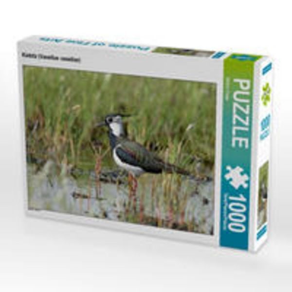 CALVENDO Puzzle Kiebitz (Vanellus vanellus) | 1000 Teile Lege-Größe 64x48cm Foto-Puzzle für glückliche Stunden
