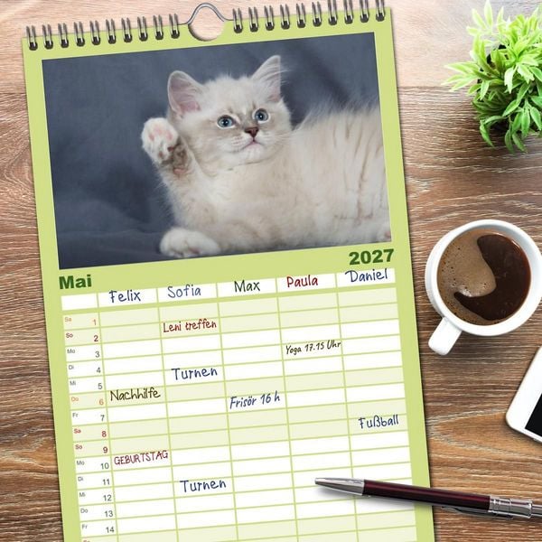 Produktbild: Familienplaner 2027 - Ragdoll Kitten mit 5 Spalten (Wandkalender, 21 x 45 cm) CALVENDO