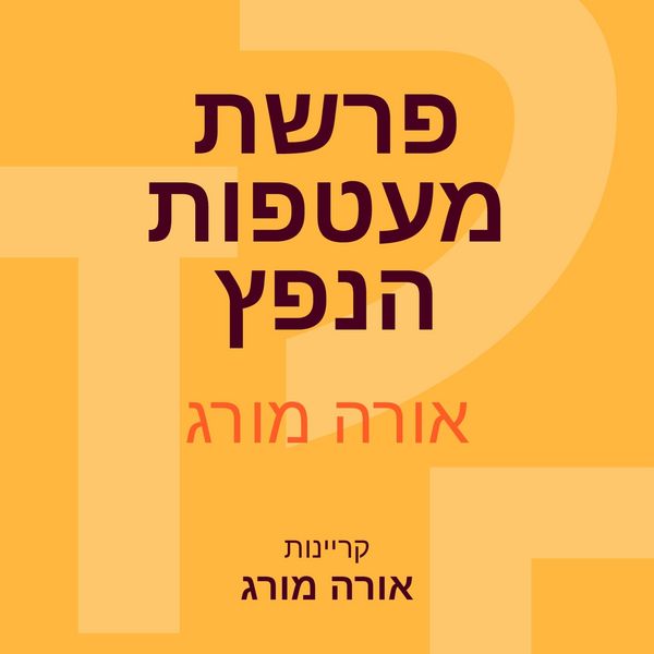 Produktbild: פרשת מעטפות הנפץ