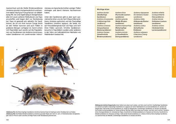 Produktbild: Praxishandbuch Nutzpflanzenbest&auml;ubung