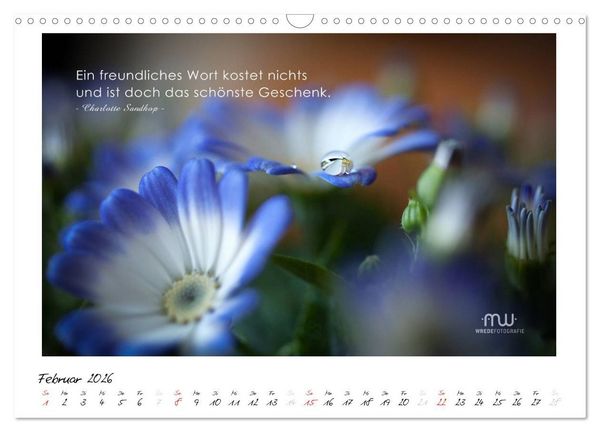 Produktbild: Gedanken... Bildkalender mit Spr&uuml;chen (Wandkalender 2026 DIN A3 quer), CALVENDO Monatskalender