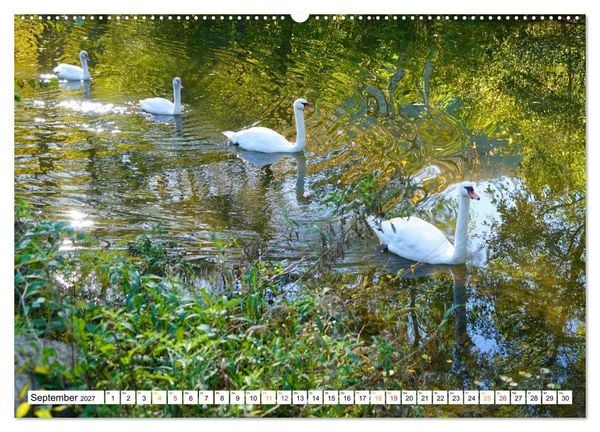 Produktbild: 12 Monate Natur (Wandkalender 2027 DIN A2 quer), CALVENDO Monatskalender