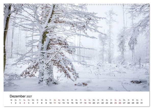 Produktbild: Zeitlose Landschaften (Wandkalender 2027 DIN A2 quer), CALVENDO Monatskalender