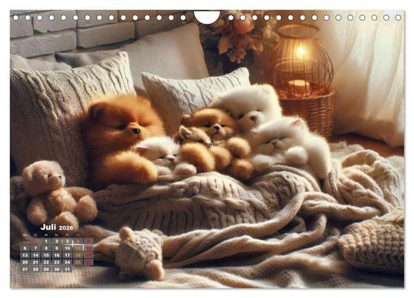 Produktbild: Kuscheliges & Knuddeliges (Wandkalender 2026 DIN A4 quer), CALVENDO Monatskalender