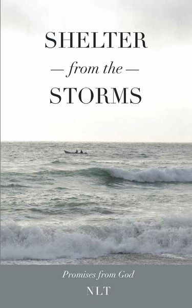 Produktbild: Shelter From the Storms; Promises from God
