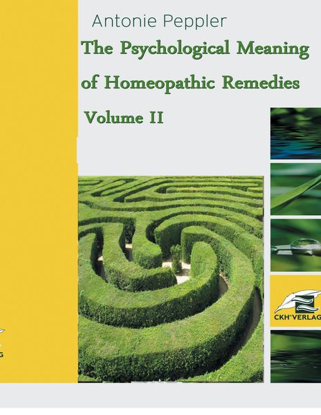 Produktbild: The Psychological Meaning of Homeopathic Remedies