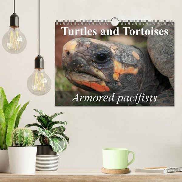 Produktbild: Turtles and Tortoises - Armored pacifists (Wall Calendar 2026 DIN A4 landscape), CALVENDO 12 Month Wall Calendar