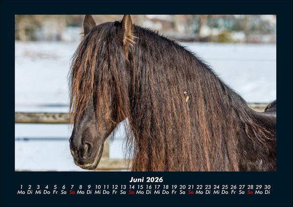 Produktbild: Pferdegefl&uuml;ster 2026 Fotokalender DIN A4