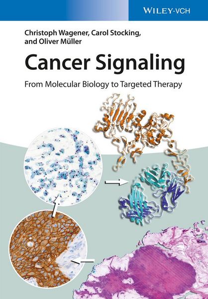 Produktbild: Cancer Signaling