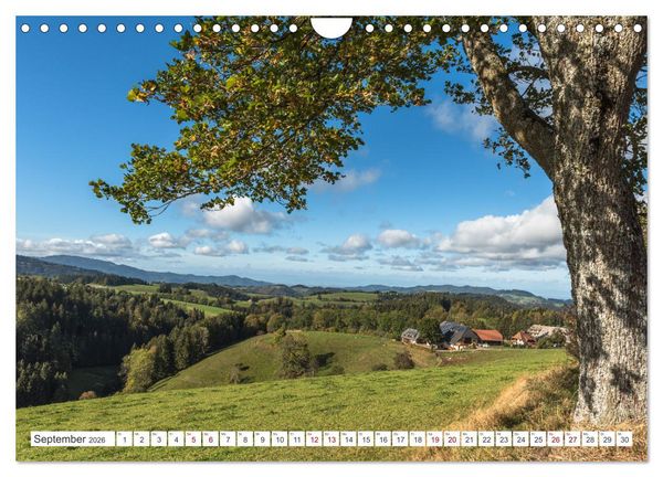 Produktbild: Schwarzwald (Wandkalender 2026 DIN A4 quer), CALVENDO Monatskalender