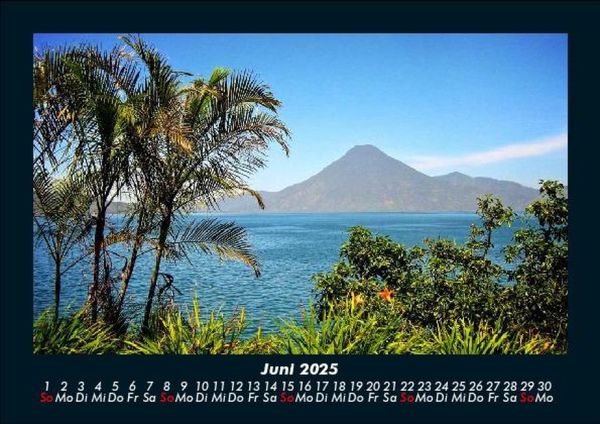 Produktbild: Palmen 2025 Fotokalender DIN A5