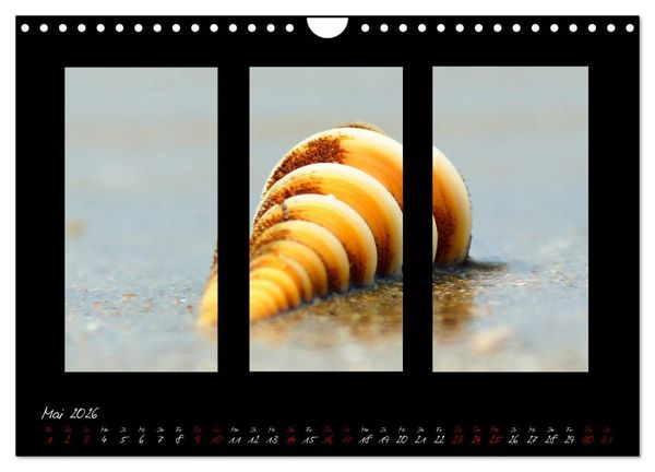 Produktbild: Die Kunst der Natur - Dreifach Stilvoll (Wandkalender 2026 DIN A4 quer), CALVENDO Monatskalender
