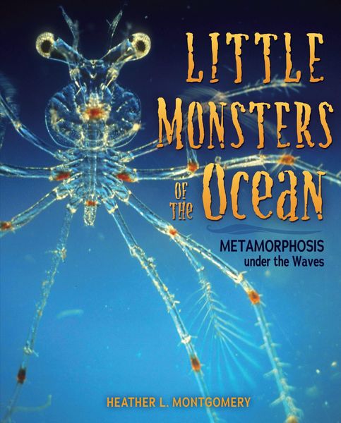 Produktbild: Little Monsters of the Ocean