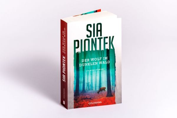 Produktbild: Der Wolf im dunklen Wald