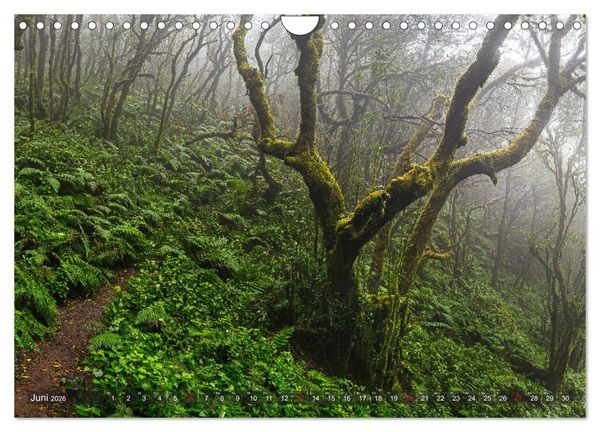 Produktbild: La Isla de La Gomera - Wilde Sch&ouml;nheit im Atlantik (Wandkalender 2026 DIN A4 quer), CALVENDO Monatskalender