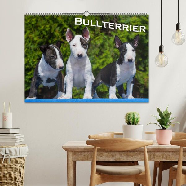 Produktbild: Bullterrier (Wandkalender 2026 DIN A2 quer), CALVENDO Monatskalender
