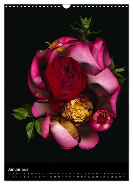 Produktbild: Blumen bei Nacht (Wandkalender 2026 DIN A3 hoch), CALVENDO Monatskalender