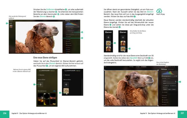 Produktbild: Luminar Neo Erweiterungen - Das umfassende Praxisbuch!