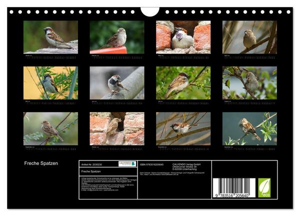 Produktbild: Freche Spatzen (Wandkalender 2026 DIN A4 quer), CALVENDO Monatskalender