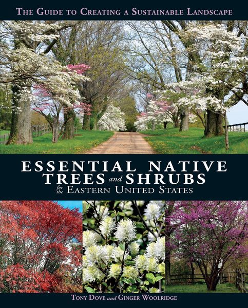 Produktbild: Essential Native Trees and Shrubs for the Eastern United States