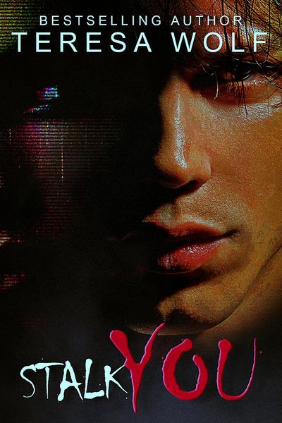 Produktbild: Stalk You (Dark Tales Book 1)