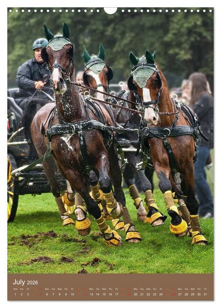 Produktbild: Carriage Driving - Horses in Action (Wall Calendar 2026 DIN A3 portrait), CALVENDO 12 Month Wall Calendar