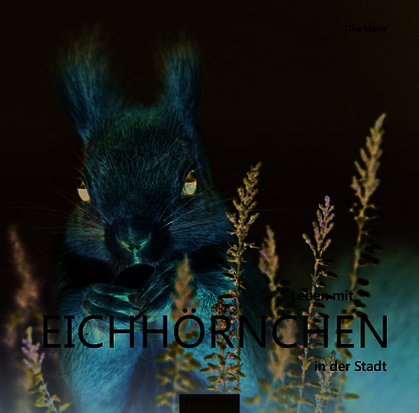 Produktbild: Leben mit Eichh&ouml;rnchen in der Stadt