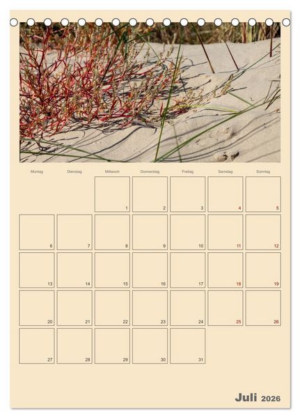 Produktbild: Usedom Ostsee - Terminplaner (Tischkalender 2026 DIN A5 hoch), CALVENDO Monatskalender