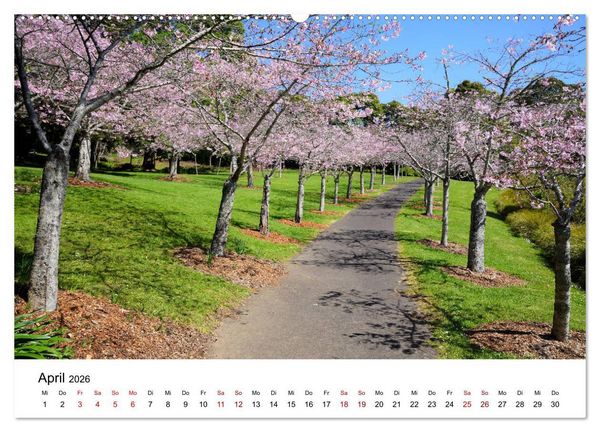 Produktbild: Auckland und Umgebung 2026 (Wandkalender 2026 DIN A2 quer), CALVENDO Monatskalender
