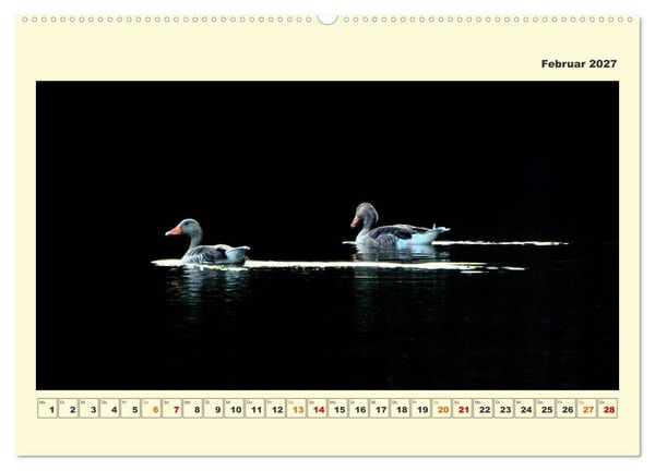 Produktbild: Tierwelt der W&uuml;mmeniederung (hochwertiger Premium Wandkalender 2027 DIN A2 quer), Kunstdruck in Hochglanz
