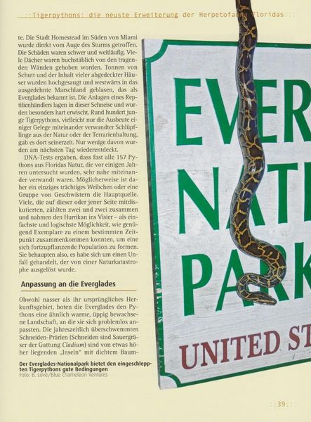 Produktbild: Tigerpythons