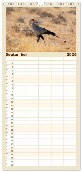 Produktbild: Familienplaner 2026 - Facetten Namibias mit 5 Spalten (Wandkalender, 21 x 45 cm) CALVENDO