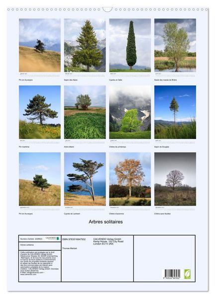 Produktbild: Arbres solitaires (Calendrier mural 2027 DIN A2 horizontal), CALVENDO calendrier mensuel