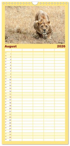 Produktbild: Familienplaner 2026 - Die Magie der K&ouml;nige der Tiere mit 5 Spalten (Wandkalender, 21 x 45 cm) CALVENDO