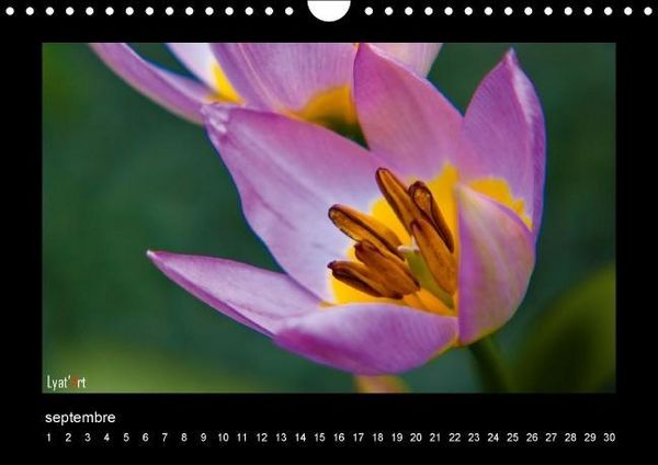 Produktbild: Liatard, A: Fleurs et couleurs (Calendrier mural Calendrier