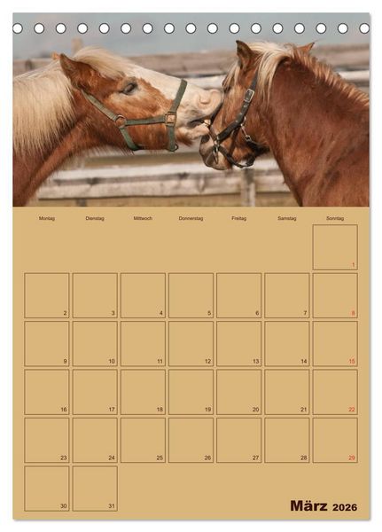 Produktbild: Pferde Gute Freunde (Tischkalender 2026 DIN A5 hoch), CALVENDO Monatskalender