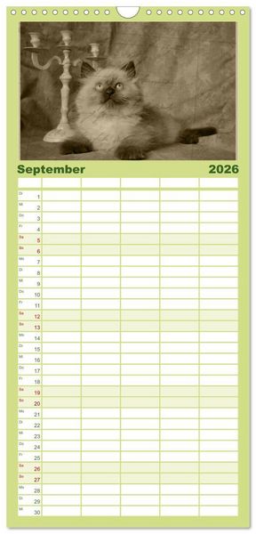 Produktbild: Familienplaner 2026 - Oma's Katzenkalender 2026 mit 5 Spalten (Wandkalender, 21 x 45 cm) CALVENDO