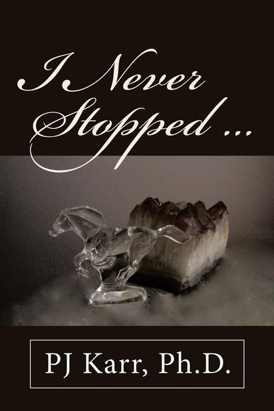 Produktbild: I Never Stopped . . .