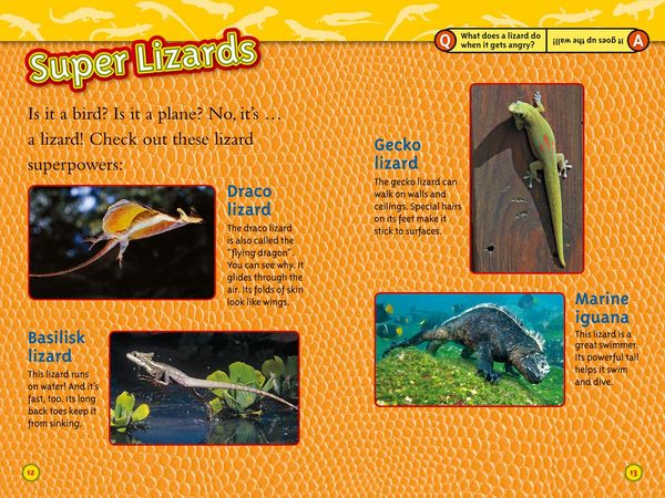 Produktbild: Lizards