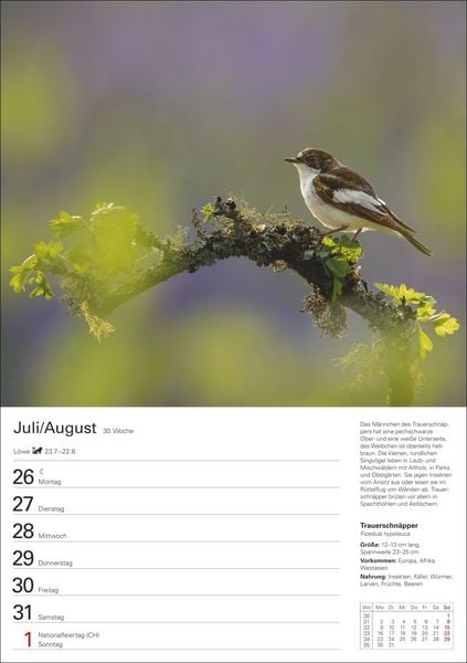 Produktbild: Heimische V&ouml;gel Wochenplaner 2027 - 53 faszinierende Fotografien
