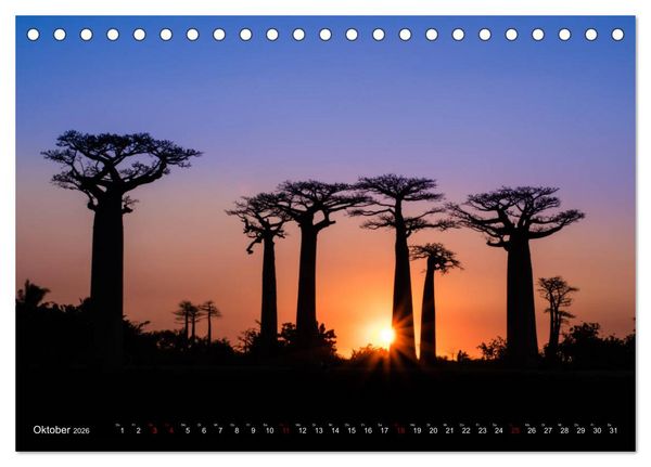Produktbild: Madagaskar - Impressionen von Rolf Dietz (Tischkalender 2026 DIN A5 quer), CALVENDO Monatskalender